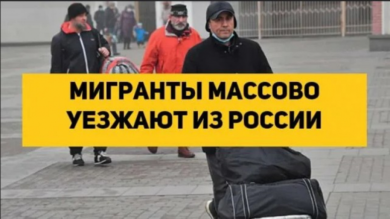 Мигранты - &laquo;мягкая&raquo; оккупация нашей страны. Начало Большого исхода