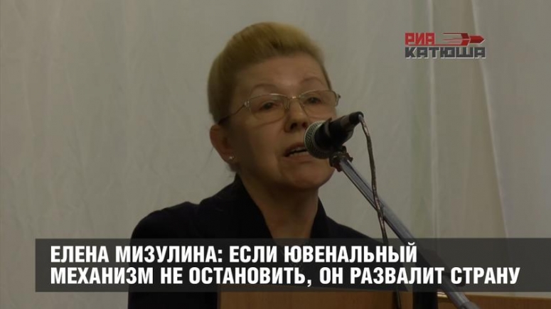 Елена Мизулина: Если ювенальный механизм не остановить, он развалит страну