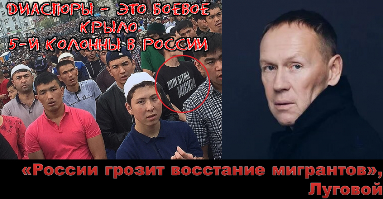 &laquo;России грозит восстание мигрантов&raquo;, Луговой